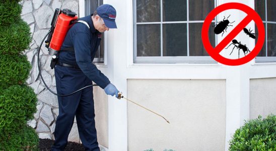 Olur Tahtakurusu İlaçlama böcek ilaçlama ve haşere kontrolü — ilaclama-tr.com